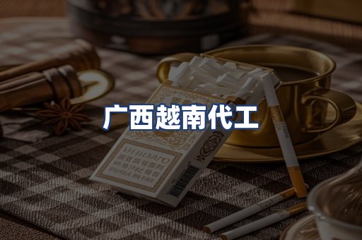 广西越南代工